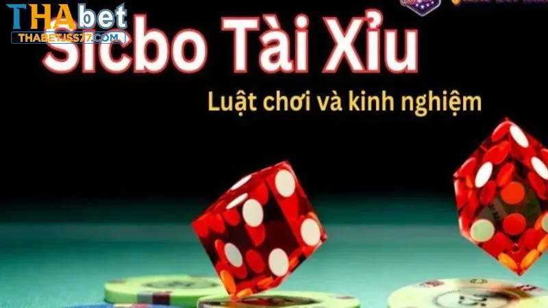 Đặt cược có chiến thuật khi chơi Sicbo tại Thabet