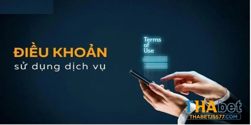 Nội dung điều khoản điều kiện