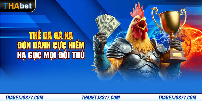 Thế đá gà xạ - Đòn hiểm chí mạng, hạ gục mọi đối thủ