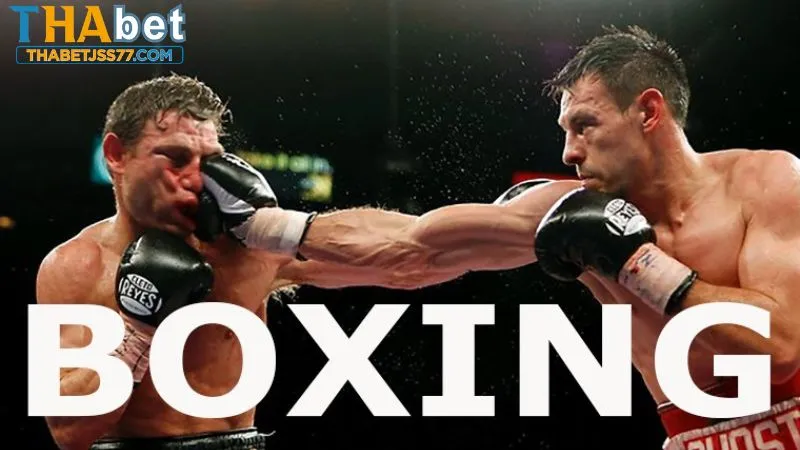 Cá cược boxing với độ hấp dẫn cao tại Thabet