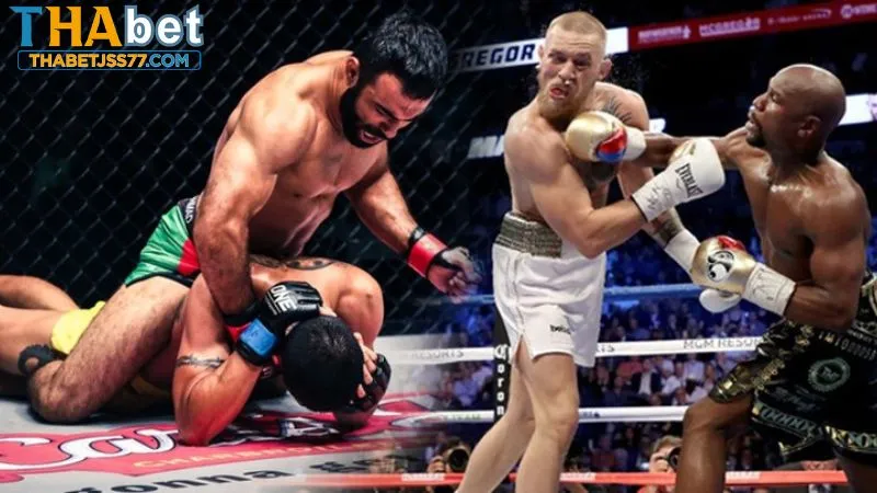 Đa dạng hình thức cá cược boxing thú vị tại Thabet