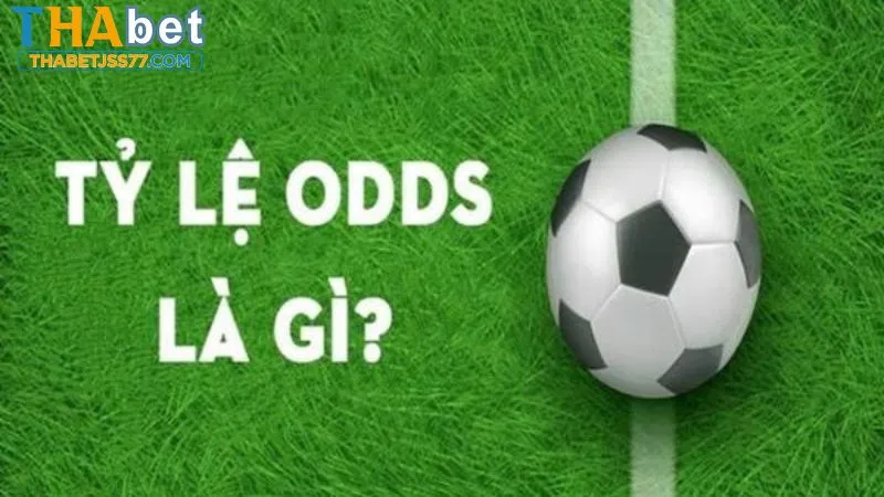 Người chơi cần hiểu rõ khái niệm odds là gì