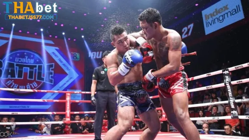 Người chơi cần hiểu rõ quy định khi cược boxing