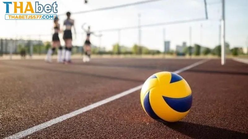 Thabet cung cấp đa dạng kèo cược bóng chuyền hấp dẫn